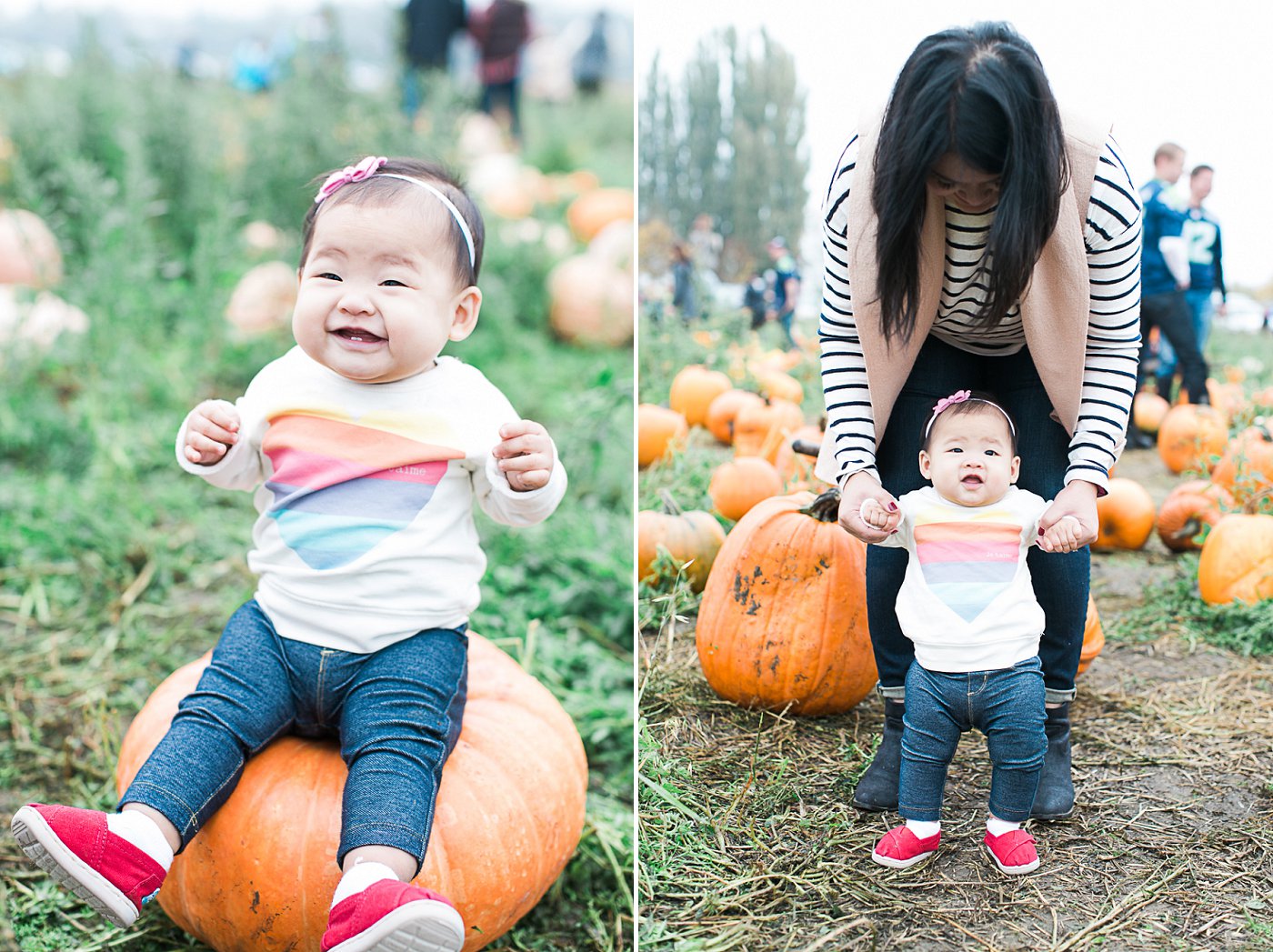Bob's Pumpkin Patch and Corn Maze