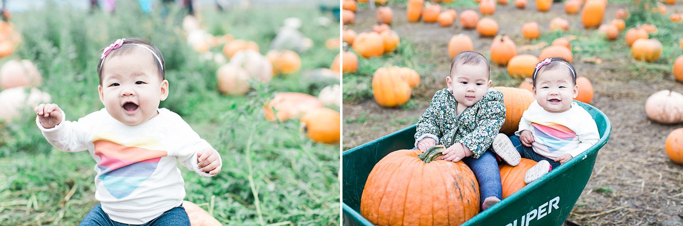 Bob's Pumpkin Patch and Corn Maze
