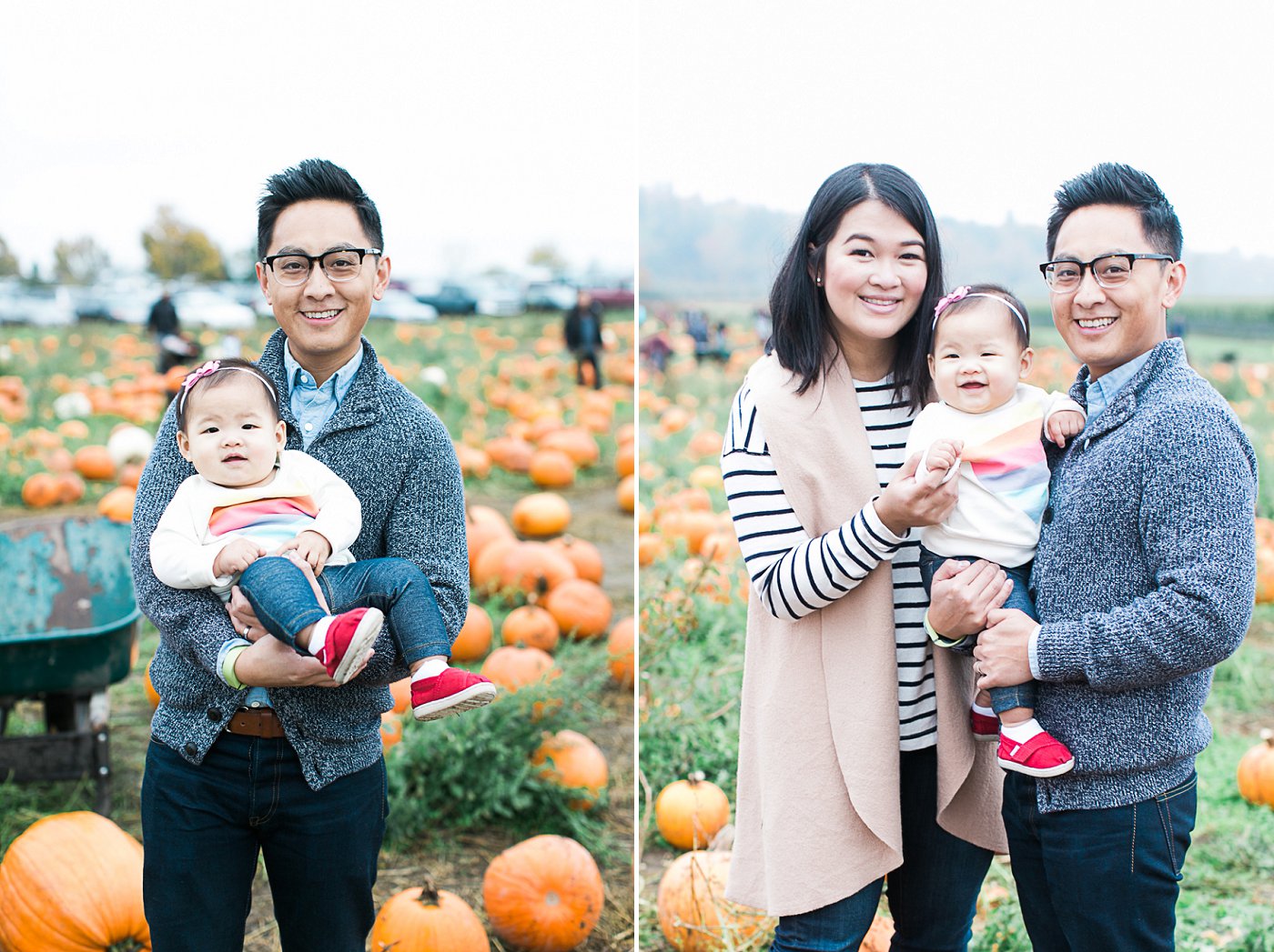 Bob's Pumpkin Patch and Corn Maze