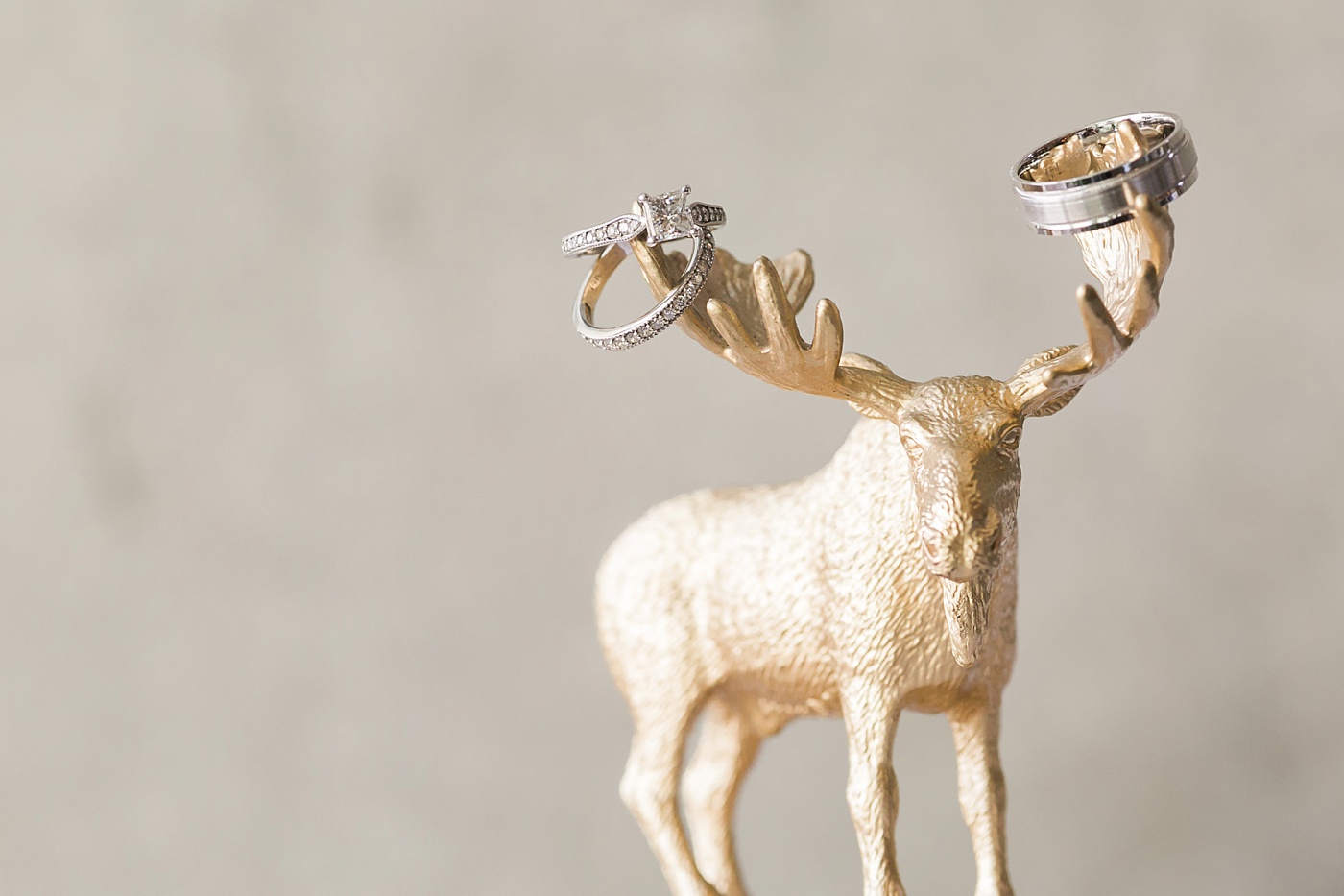 Alaska Moose Cake Topper and Wedding Rings