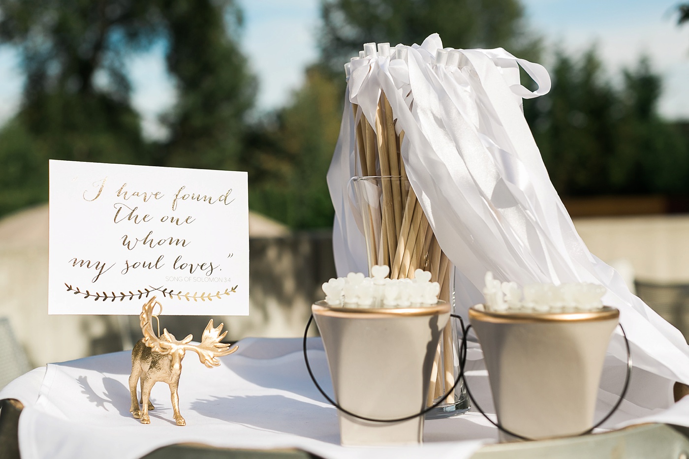 Novelty Hill Januik ceremony decor with ribbon streamers