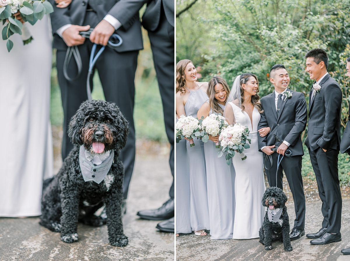 Dog at Salish Lodge Wedding